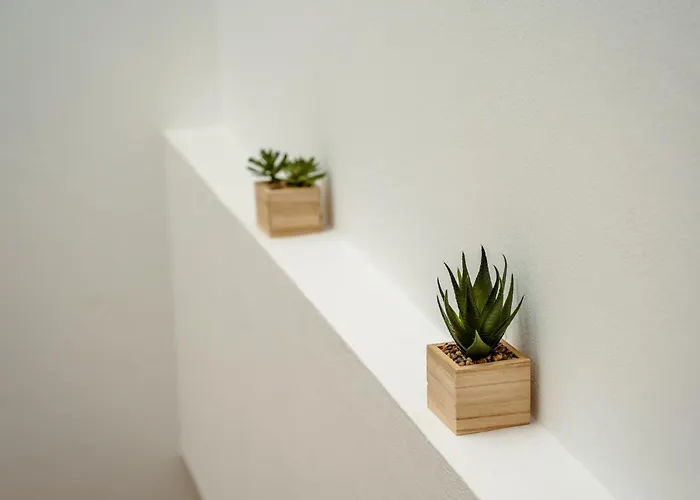 Casa vacanze Arrifes Porto Santo